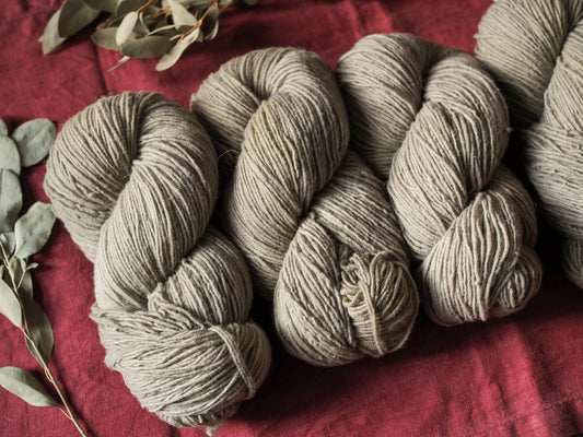 Nebbia - Gentile di Puglia - Sport