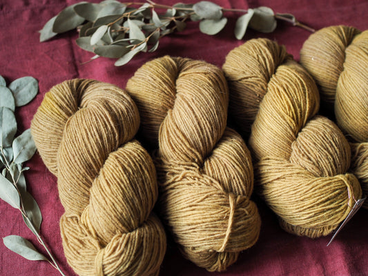 Ottone - Gentile di Puglia - Sport