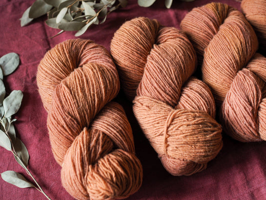 Cannella - Gentile di Puglia - Sport