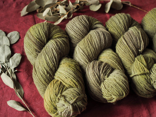 Olive - Gentile di Puglia - Sport