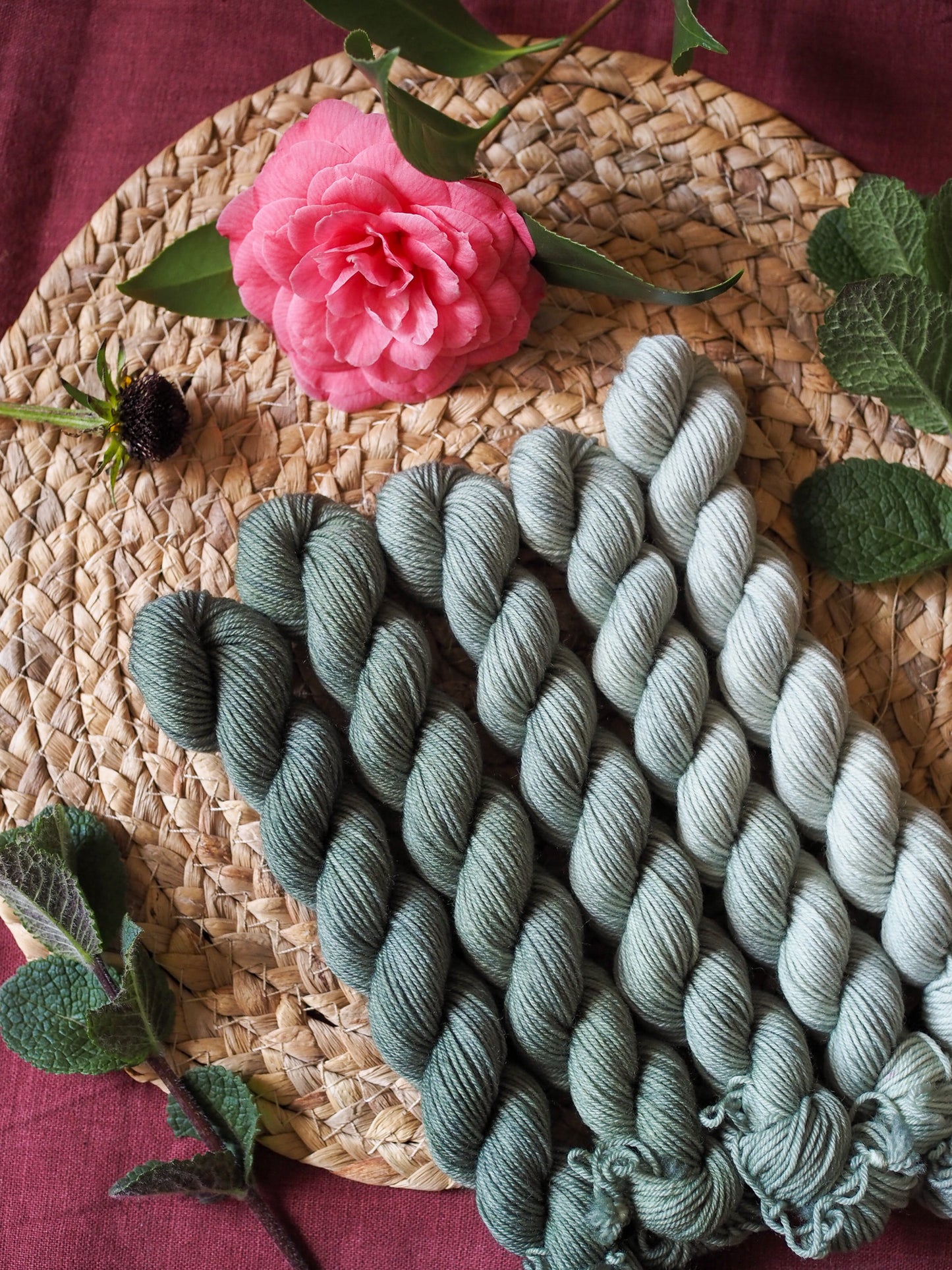 Eucalipto – The Gradient Collection - 5x20gr mini skeins set