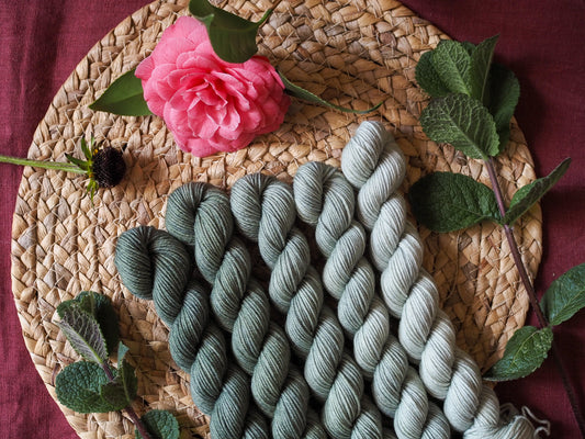 Eucalipto fade - 5x20gr minis Gradient set