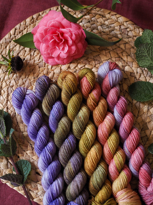 Wisteria Variegated - 5x20gr minis - Merino sock