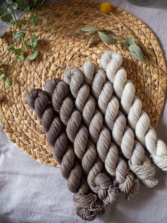 Raw Umber fade - 5x20gr minis Gradient set