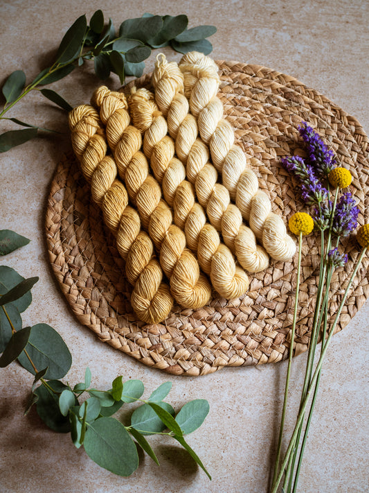Honey fade - The Gradient collection - 5 mini skeins