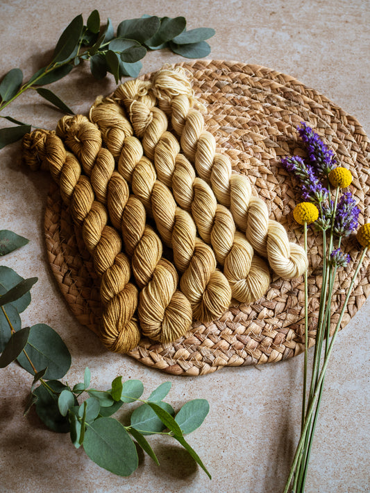 Senape fade - 5x20gr minis Gradient set