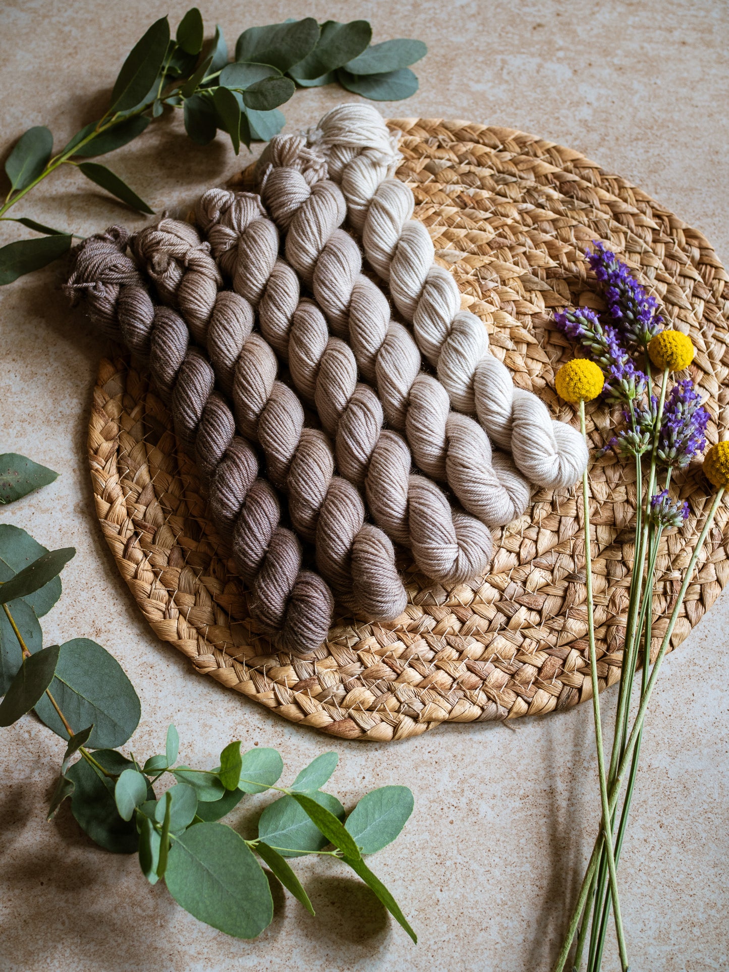 Caffellatte 2.0 – The Gradient Collection – Hand-dyed Yarn Set (5 Skeins)