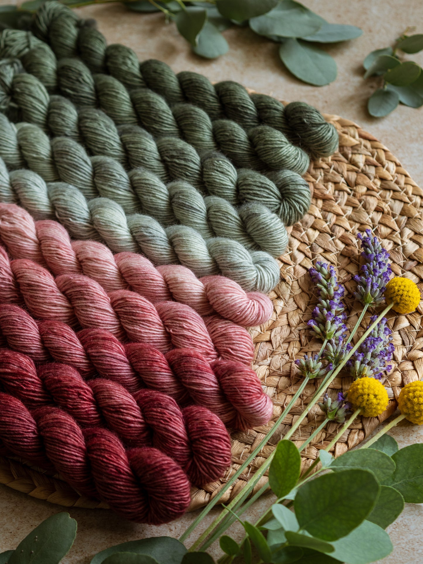 Eucalipto fade - 5x20gr minis Gradient set