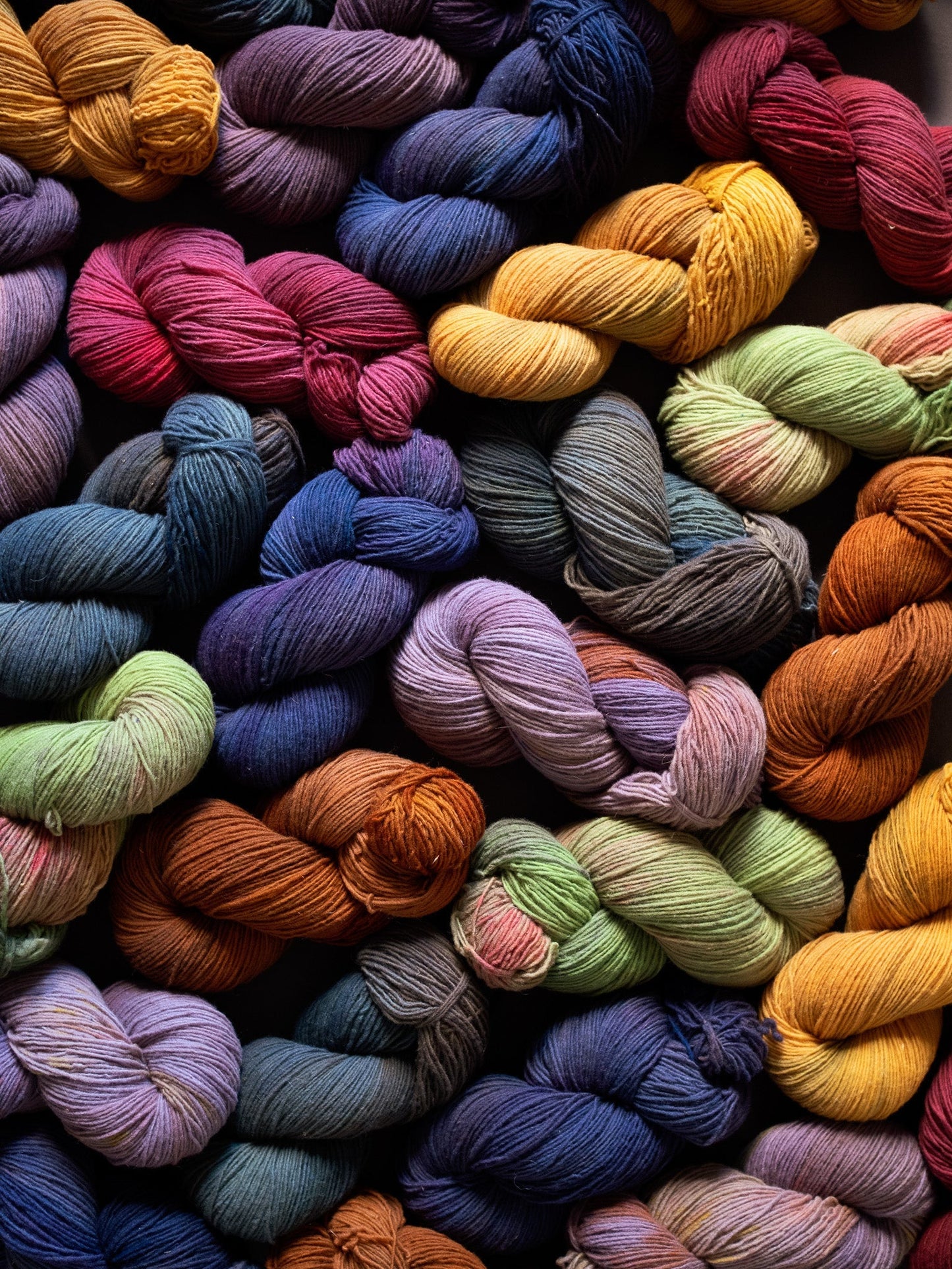 Gingko - Gentile di Puglia - Sport