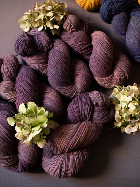 Oxalis - Gentile di Puglia - Sport