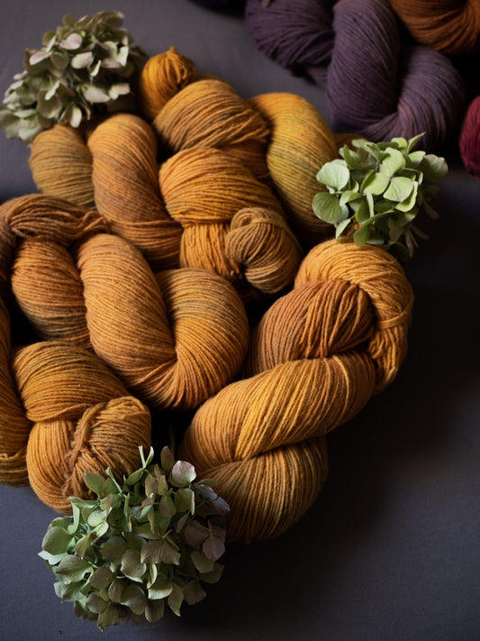 Gingko - Gentile di Puglia - Sport