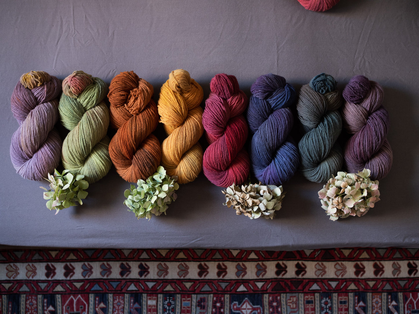 Mirtillo - Gentile di Puglia - Sport