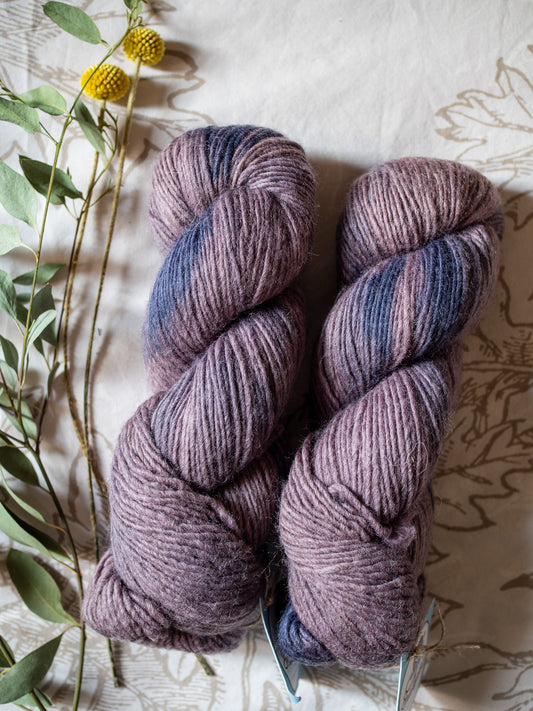 Individual skeins - BFL worsted weight - 200 Meters