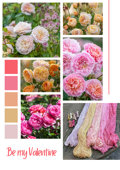 Hand-dyed 5 mini-skein yarn set by Snail Yarn in botanical shades of dusty pink, peach, and mauve, inspired by English roses. High-quality Merino and Peruvian wool for knitting and colorwork.