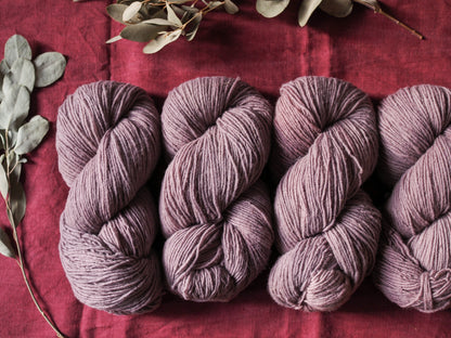 Dusty Rose - Gentile di Puglia - Sport