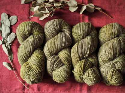 Olive - Gentile di Puglia - Sport