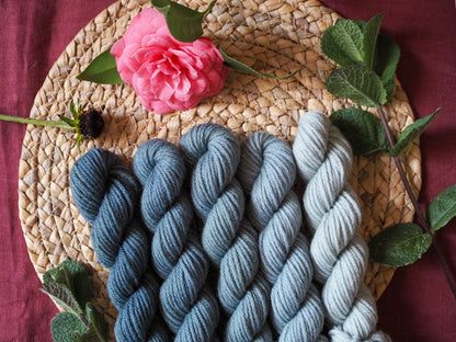 Viridian fade - 5x20gr minis Gradient set - NEW! non superwash yarn bases