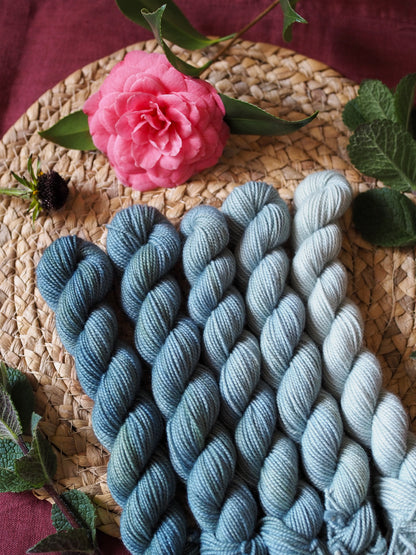 Viridian fade - 5x20gr minis Gradient set - NEW! non superwash yarn bases