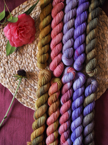 Wisteria fade - Merino sock - 10x20gr mini skeins