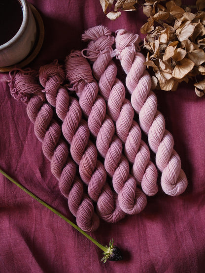 Amarena – The Gradient Collection – Hand-dyed Yarn Set (5 Skeins)
