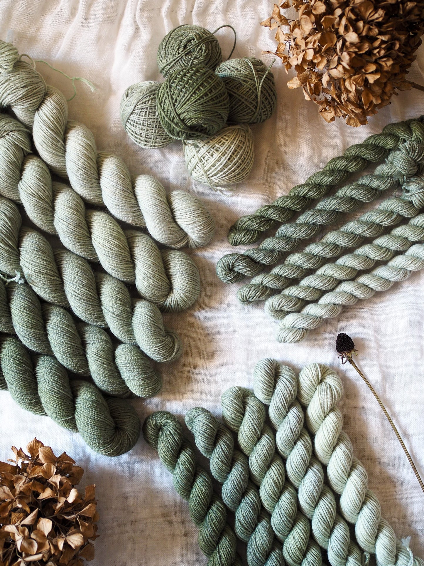 Eucalipto – The Gradient Collection – Hand-dyed Yarn Set (5 Skeins)