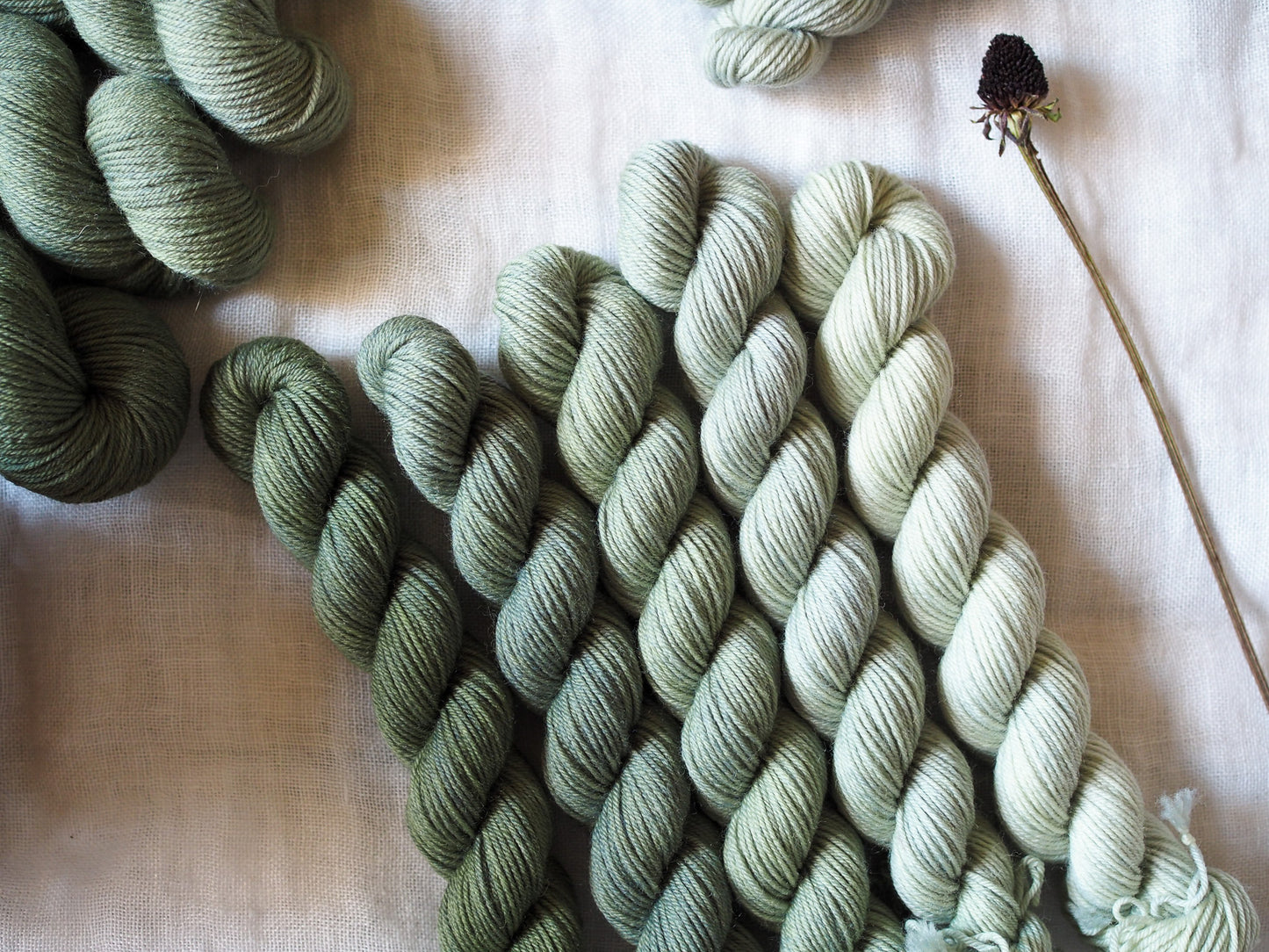 Eucalipto – The Gradient Collection – Hand-dyed Yarn Set (5 Skeins)