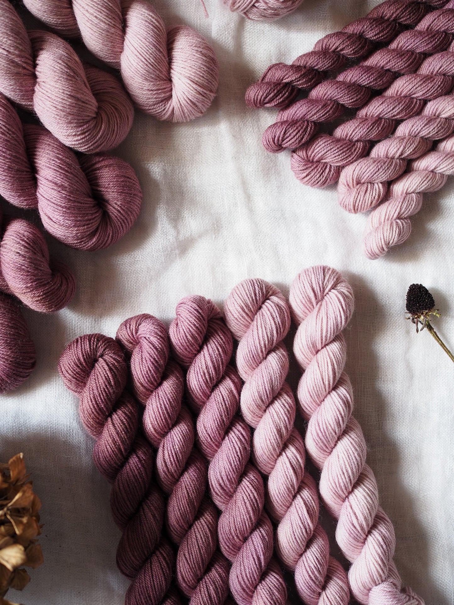 Rosa Antico – The Gradient Collection – Hand-dyed Yarn Set (5 Skeins)