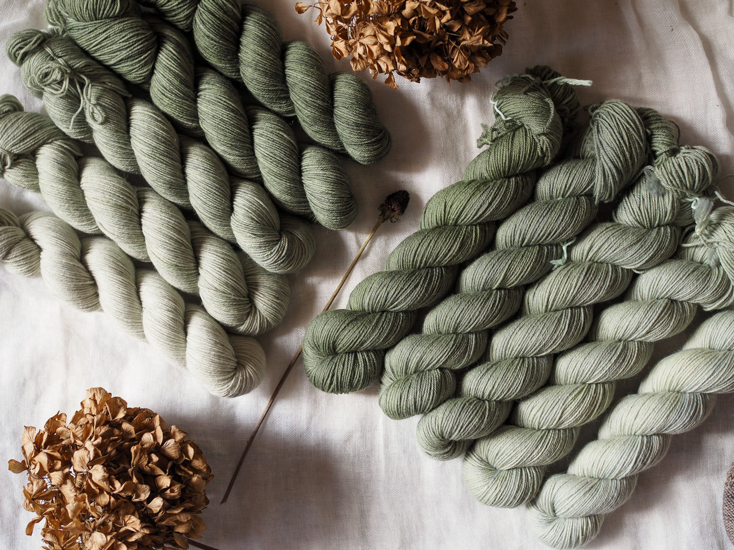 Eucalipto – The Gradient Collection – Hand-dyed Yarn Set (5 Skeins)