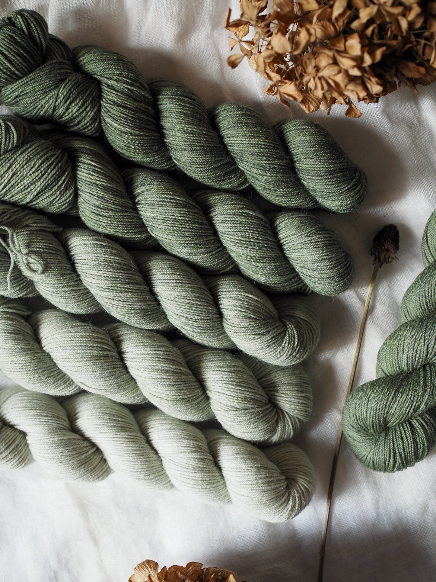 Eucalipto – The Gradient Collection – Hand-dyed Yarn Set (5 Skeins)