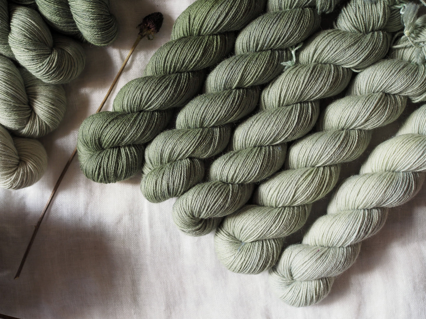 Eucalipto – The Gradient Collection – Hand-dyed Yarn Set (5 Skeins)