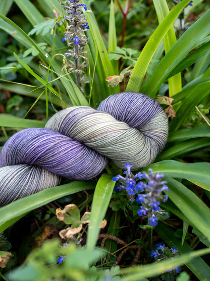 Ajuga Sock Set