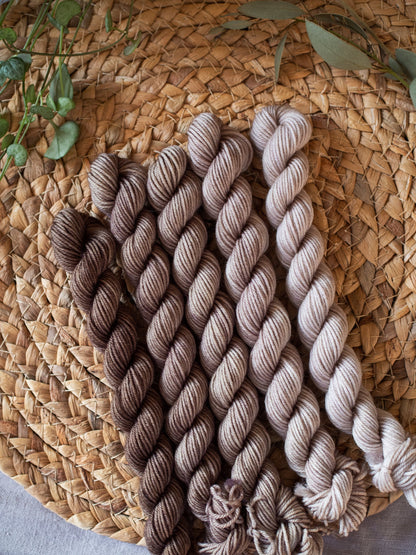 Raw Umber fade - 5x20gr minis Gradient set
