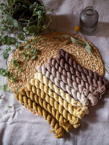 Gradient DUO DK - Senape + Castagna - 10x10gr set