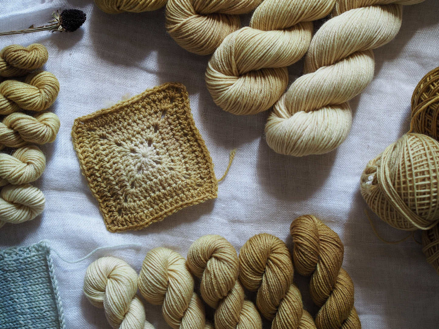 Senape – The Gradient Collection – Hand-dyed Yarn Set (5 Skeins)