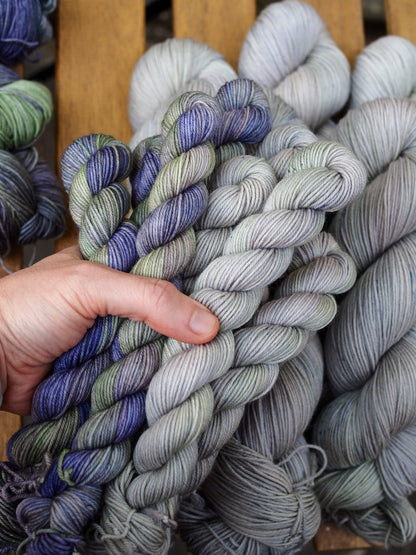 Ajuga Sock Set