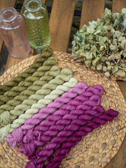 Bouganvillea fade - 5x20 gr minis Gradient set
