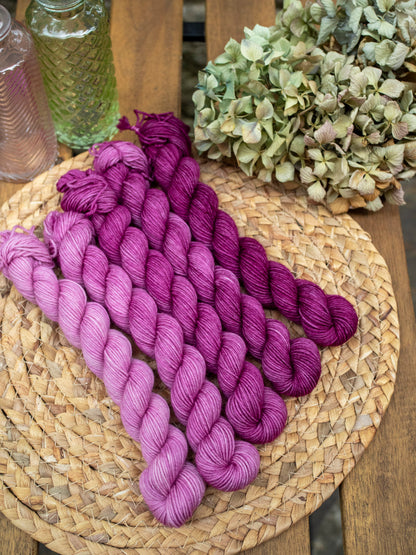 Bouganvillea fade - 5x20 gr minis Gradient set