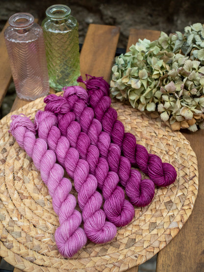 Bouganvillea fade - 5x20 gr minis Gradient set