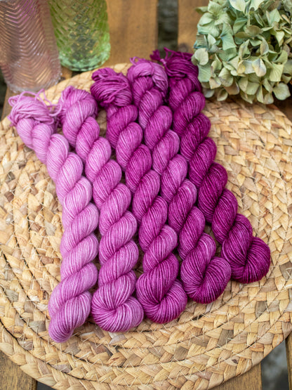 Bouganvillea fade - 5x20 gr minis Gradient set