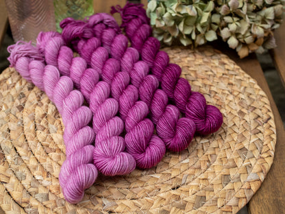 Bouganvillea fade - 5x20 gr minis Gradient set