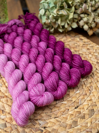Bouganvillea fade - 5x20 gr minis Gradient set