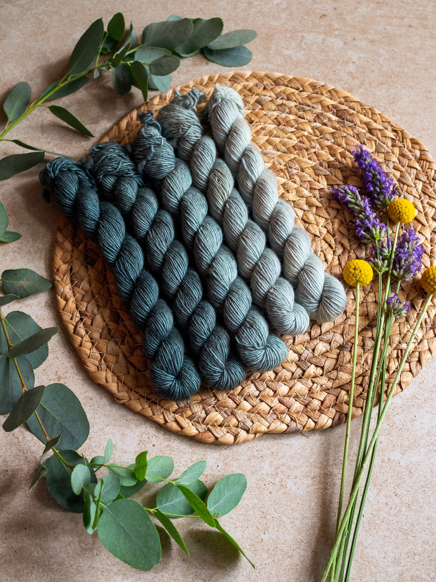 Viridian - The Gradient collection - 5 skeins fade set