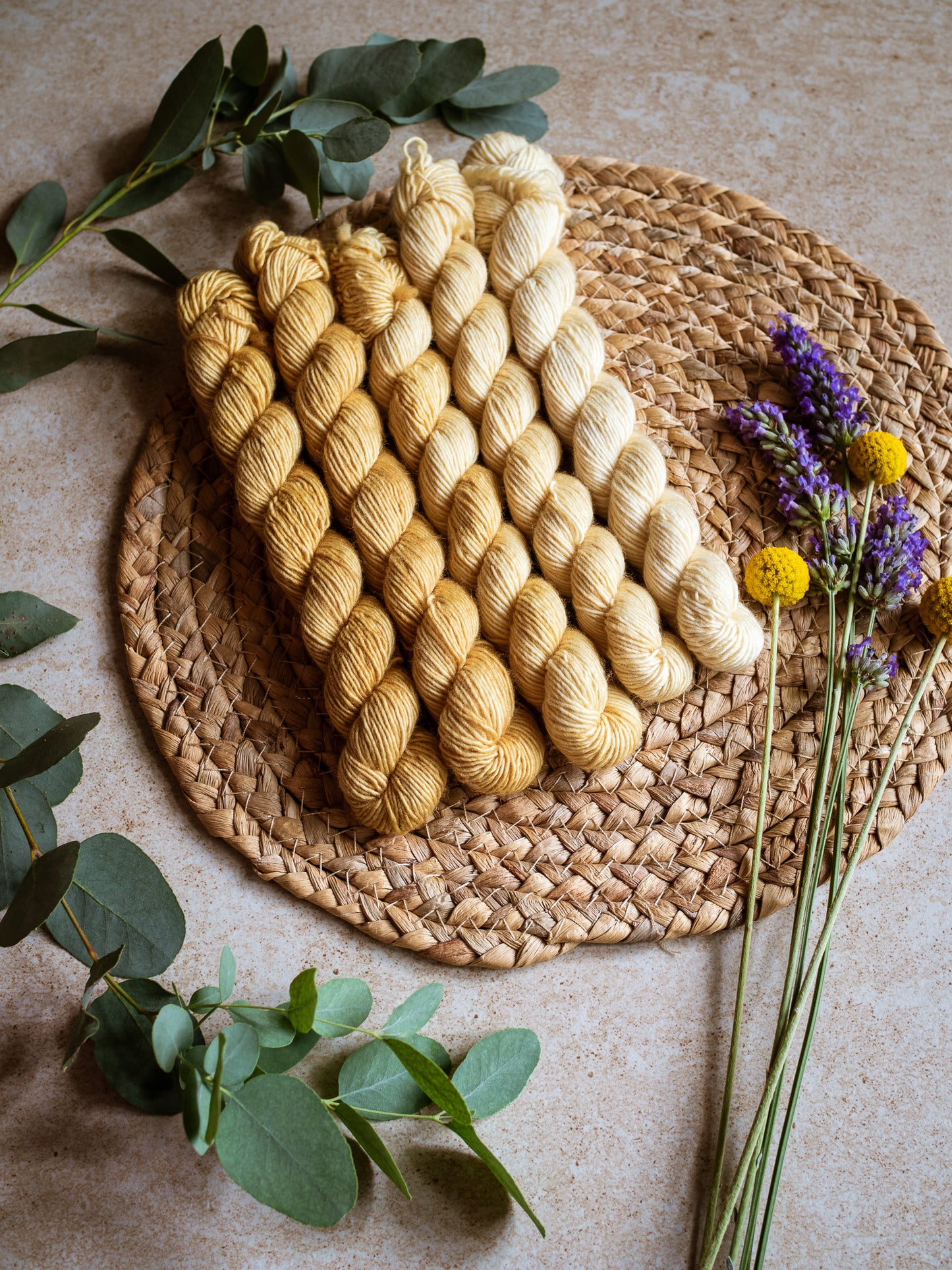 Honey - The Gradient collection - 5 skeins fade set