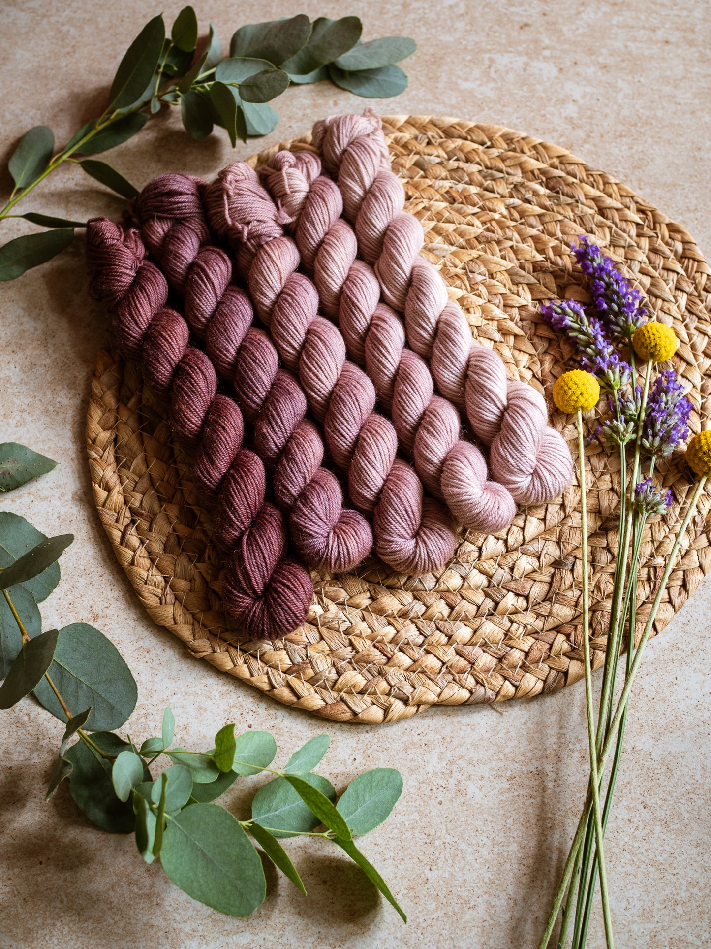 Rosa Antico - The Gradient collection - 5 skeins fade set