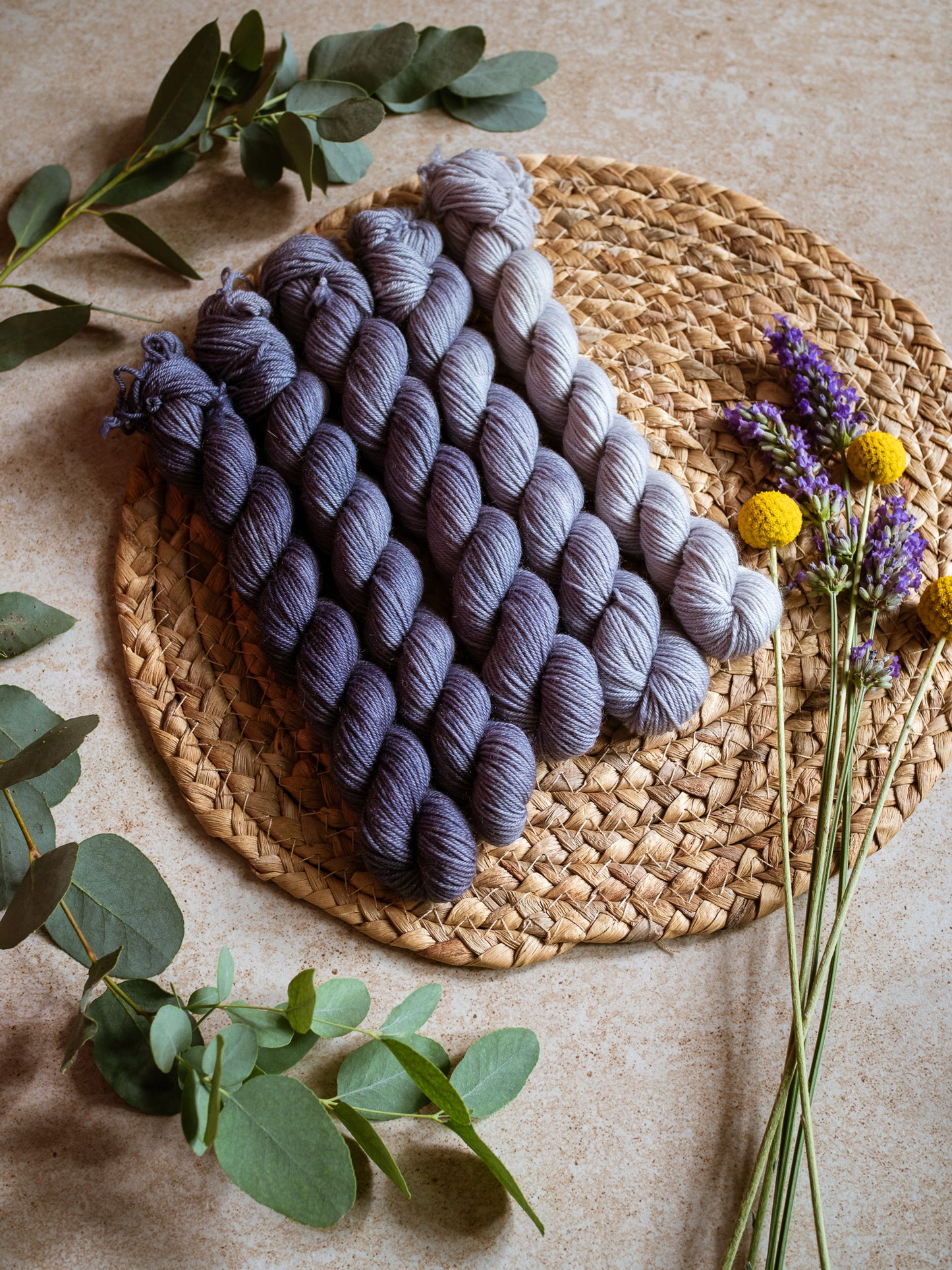Ardesia - The Gradient collection - 5 skeins fade set