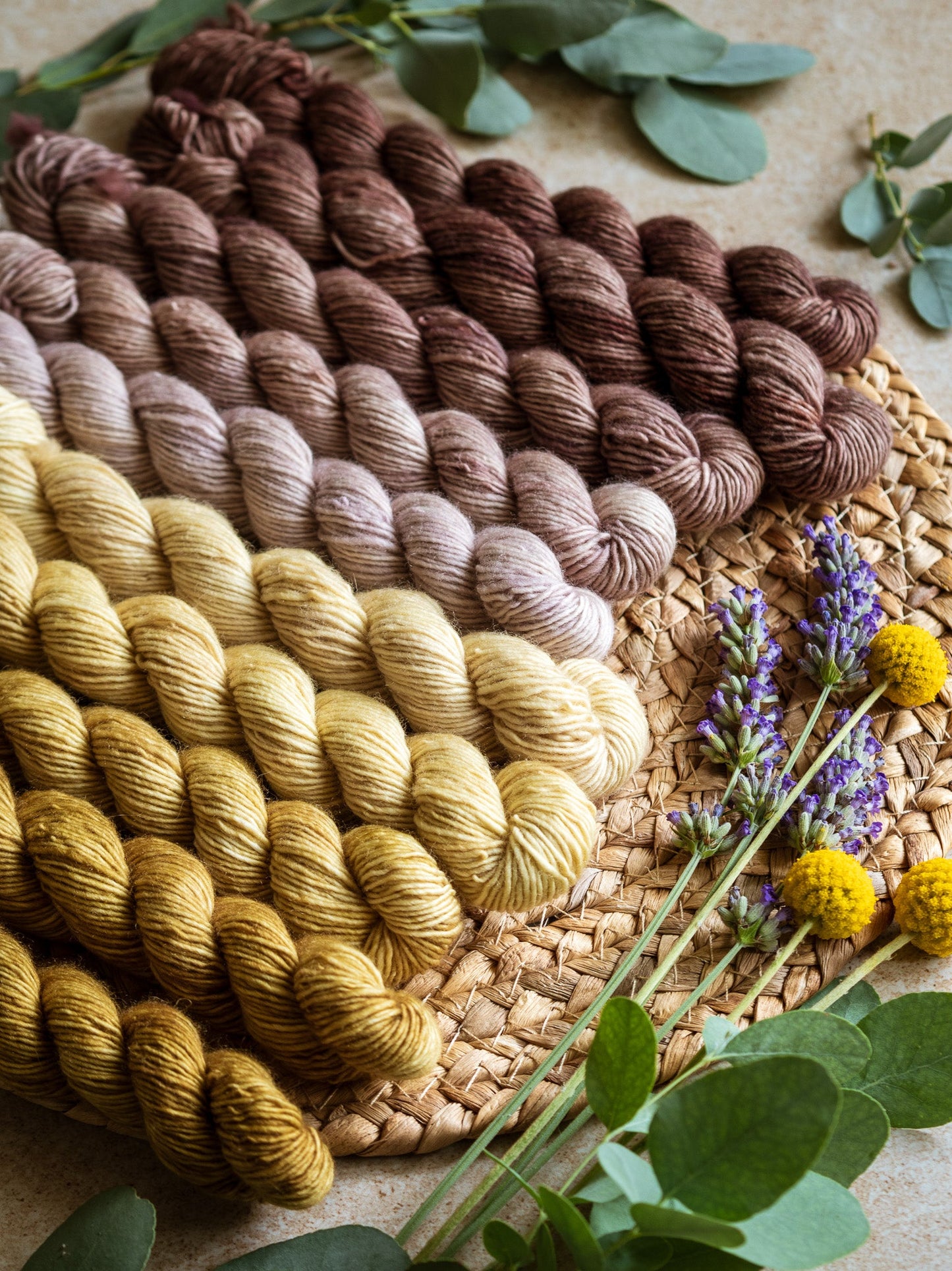 Castagna - The Gradient collection - 5 skeins fade set