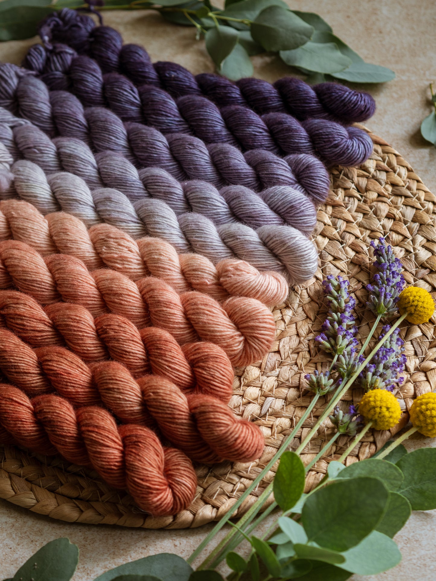 Paprika - The Gradient collection - 5 skeins fade set
