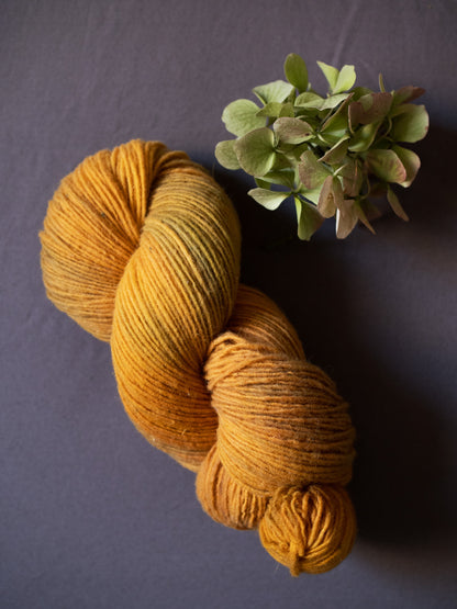 Gingko - Gentile di Puglia - Sport