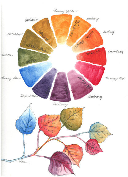 The Color Wheel (2023 Advent) - 25 mini skeins set - dyed-to-order