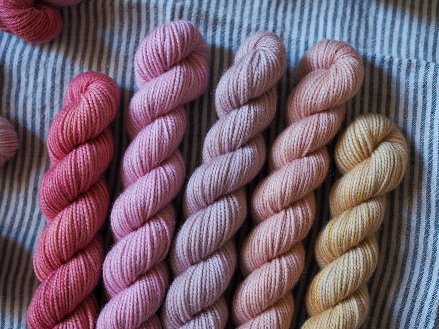 Hand-dyed 5 mini-skein yarn set by Snail Yarn in botanical shades of dusty pink, peach, and mauve, inspired by English roses. High-quality Merino and Peruvian wool for knitting and colorwork.